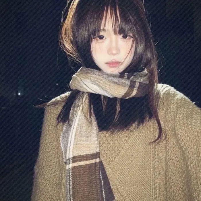 三只流浪猫